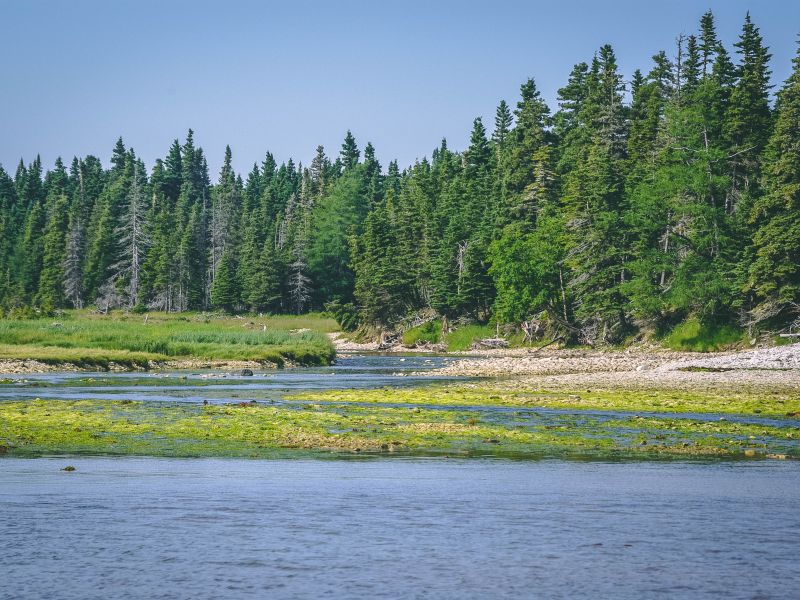 Pourvoirie Lac Geneviève d’Anticosti